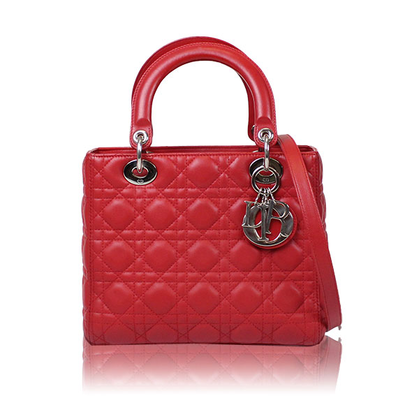 Dior レディディオール 24&nbsp;x20&nbsp;x12cm(幅&nbsp;x 高さ&nbsp;x マチ)