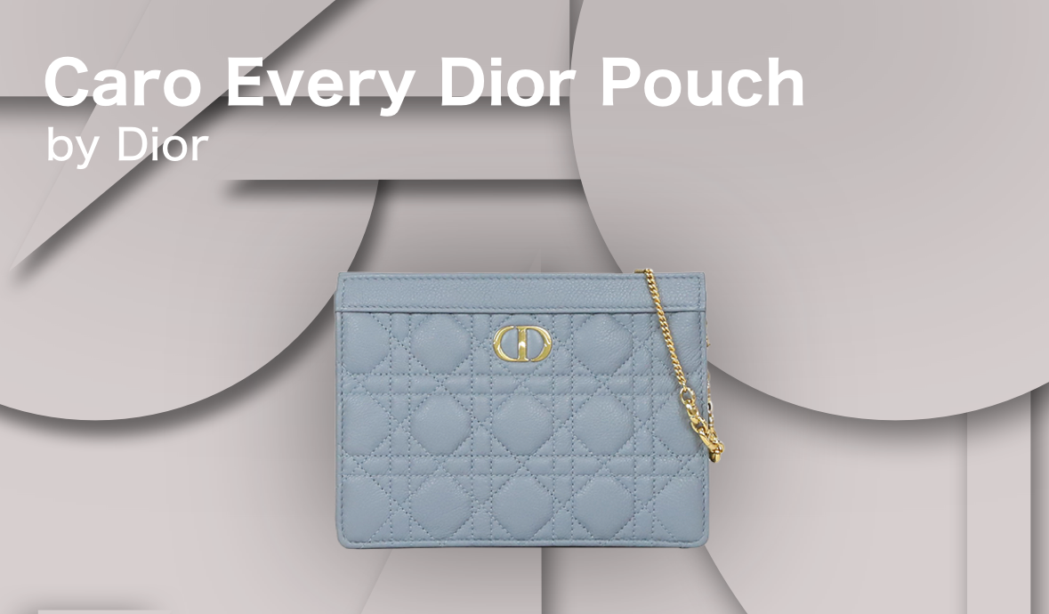 Dior # カロエブリーディオールポーチ